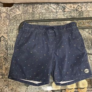 PacSun swim trunks